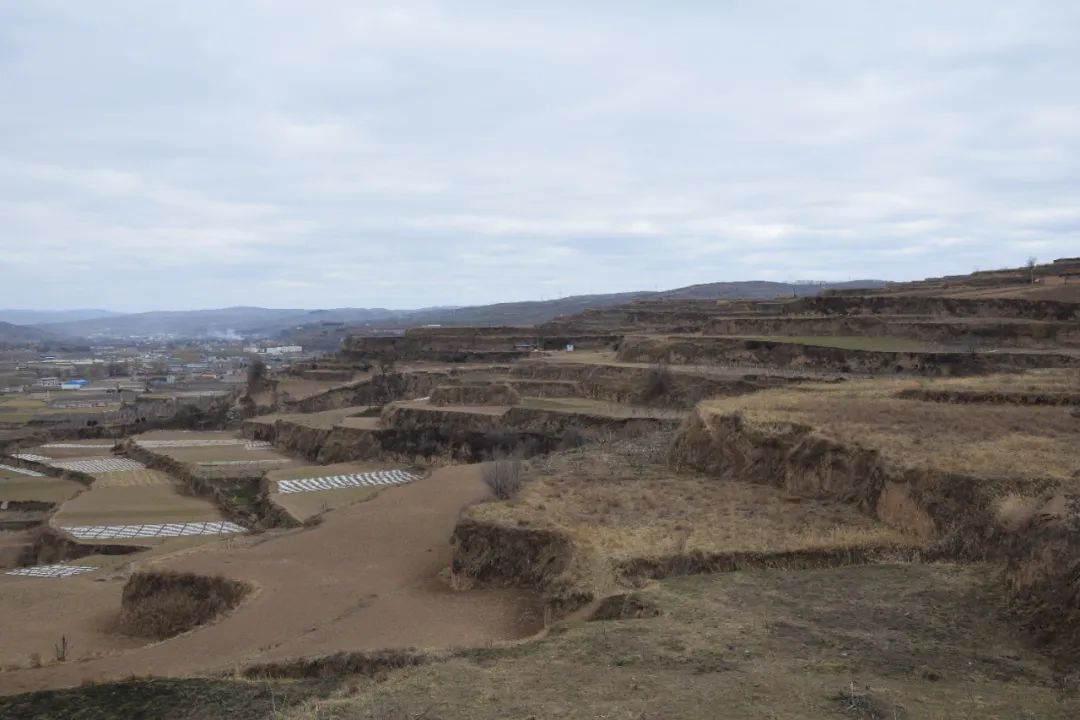 甘肃面朝黄土背朝天,甘肃秦安到西安有多远