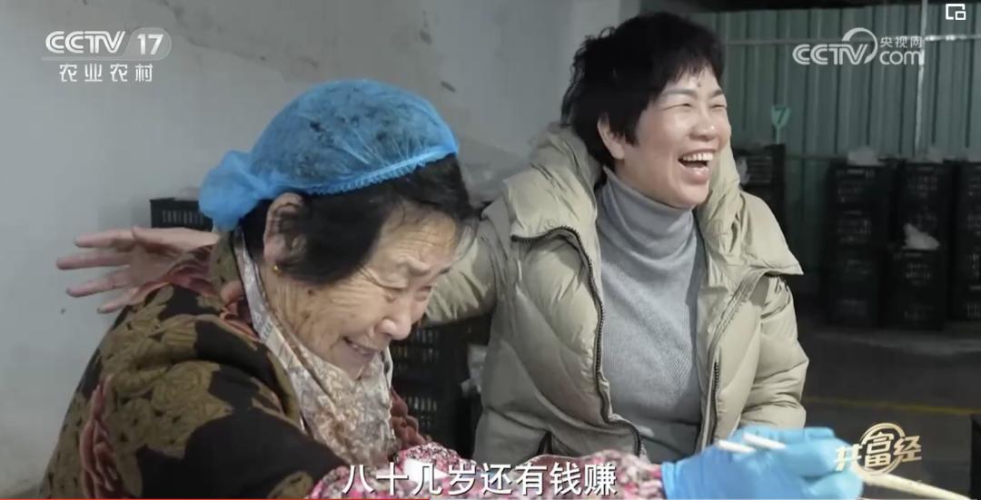 看似不起眼实则很赚钱,养殖场一年能赚多少钱