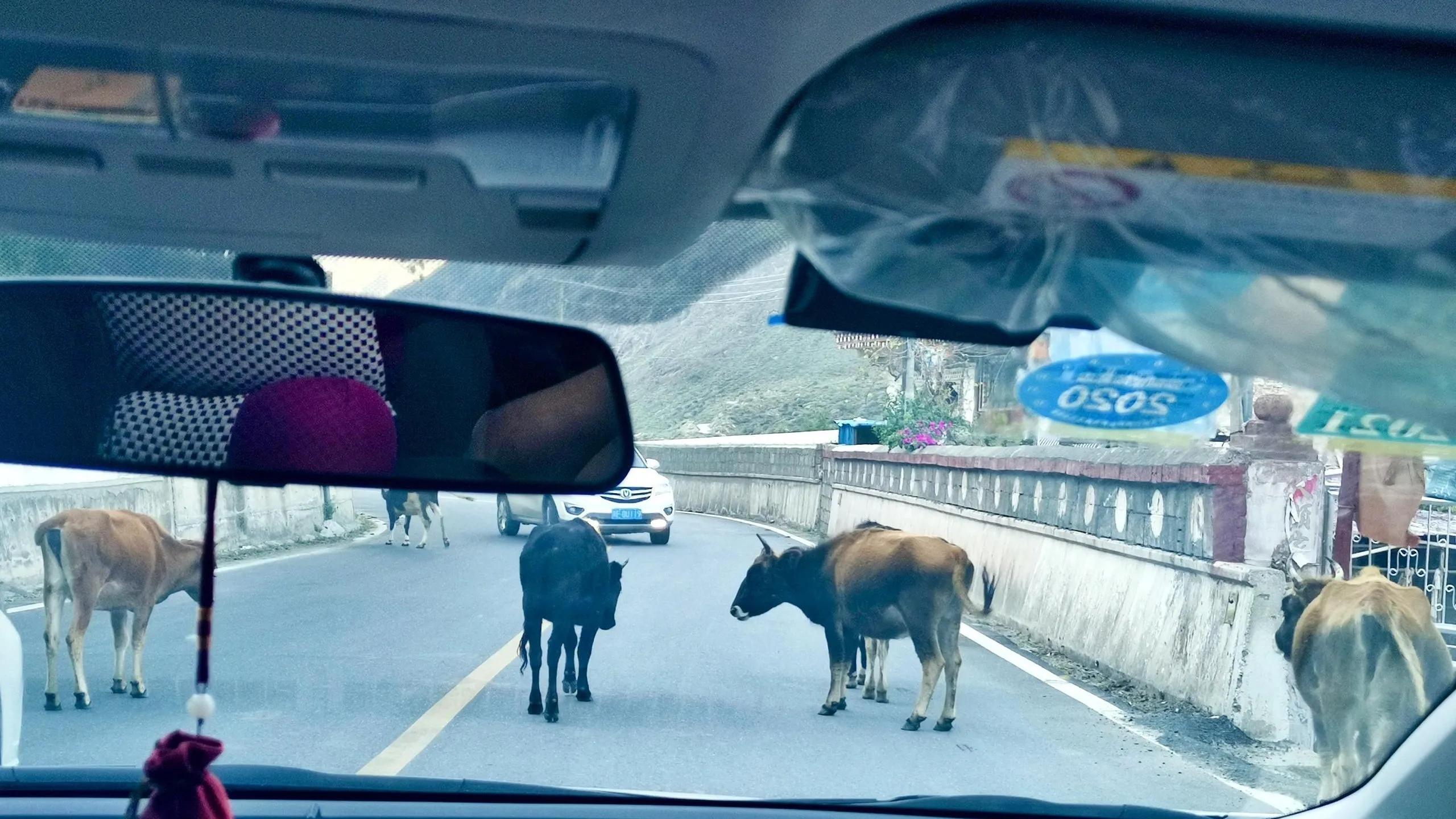 318堵车风景线,四川318国道沿途风景视频