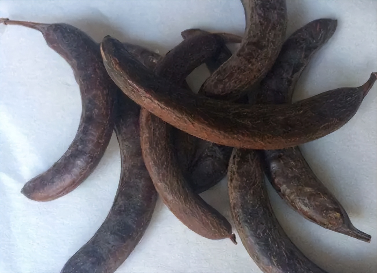 带你识别中草药,带你识别好茶