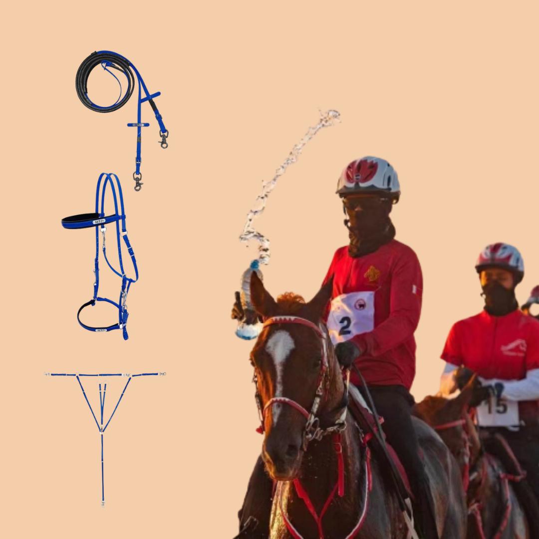 耐力赛骑手和马匹的装备，该如何选择？