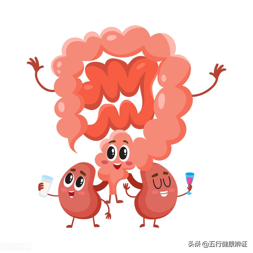 胆胃上逆怎么调理最有效,对于肺的养生方法