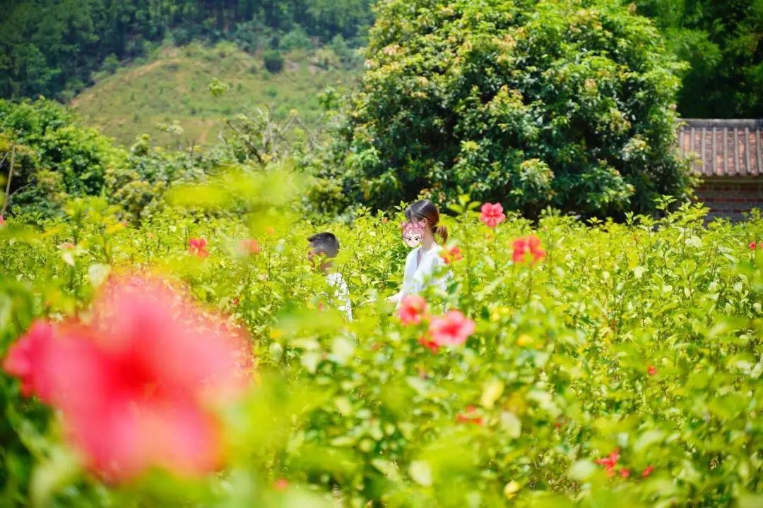 岭南景区民宿,岭南式民宿