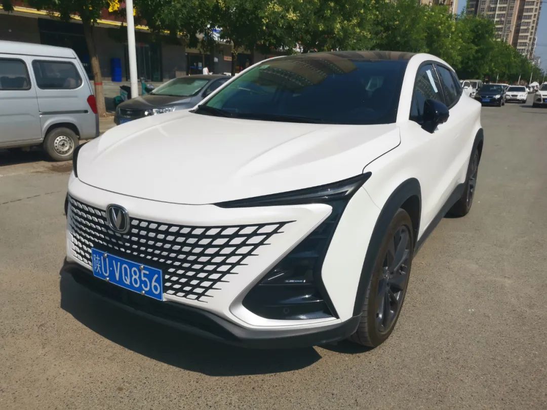 泾阳交警大队违章处理电话,泾阳县电子眼抓拍违法公示