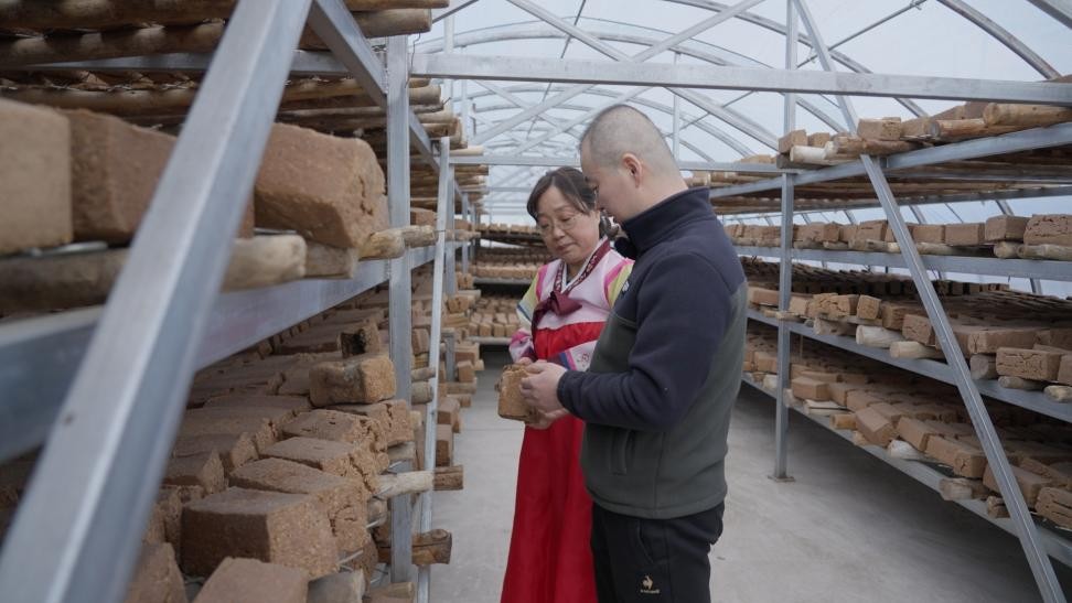 回村创业带货自家农产品,回老家创业带农产品