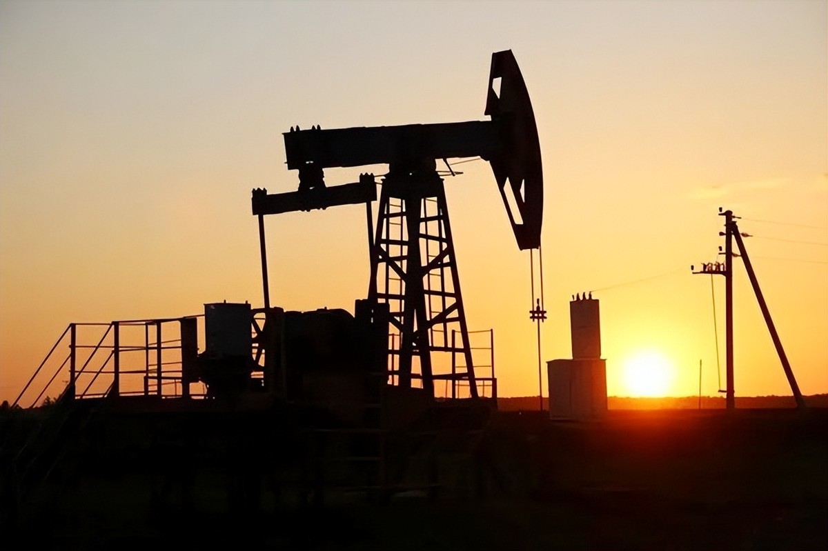 多行不义必自毙2009年,多行不义必自毙事件