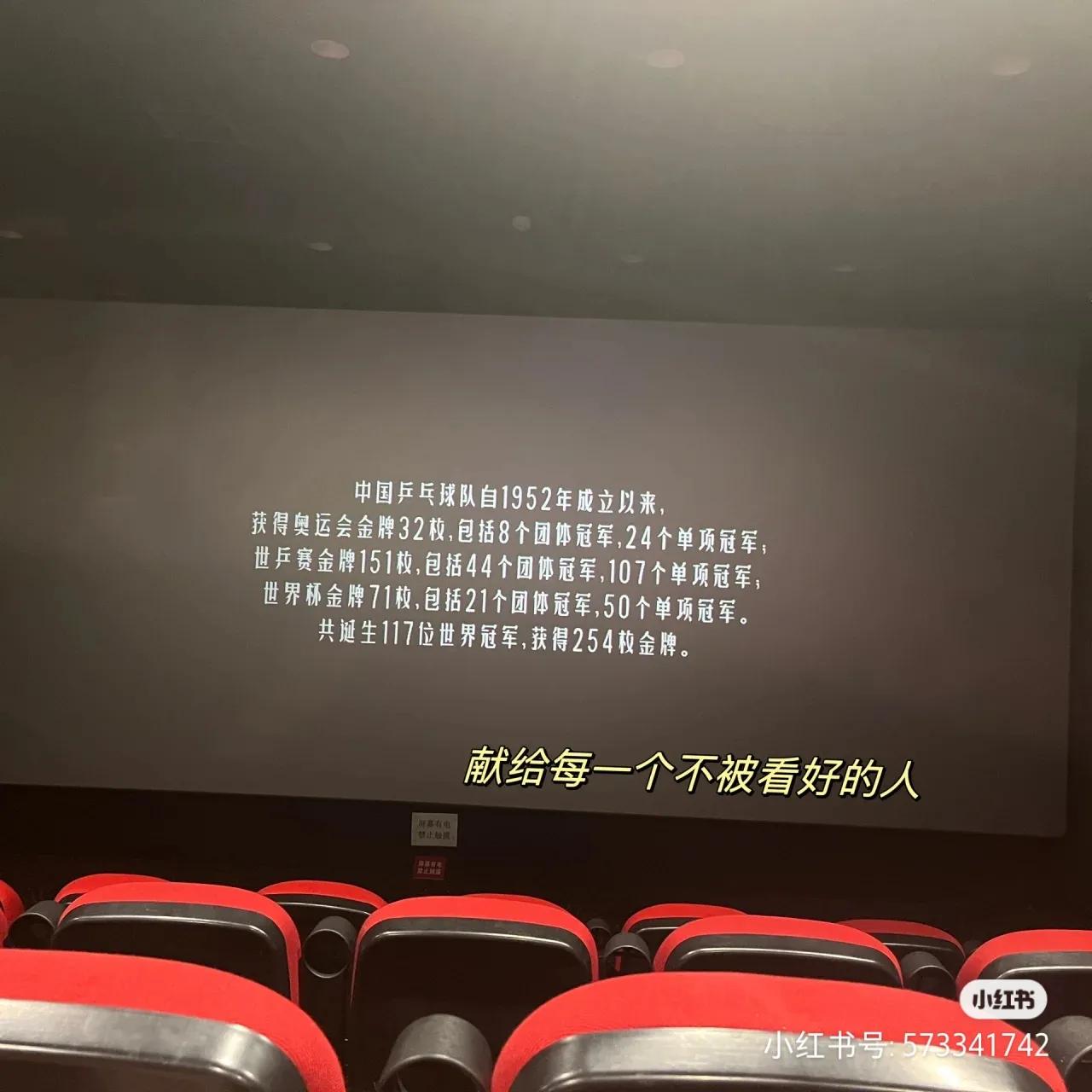 给每个不被看好的人-看电影乒乓有感