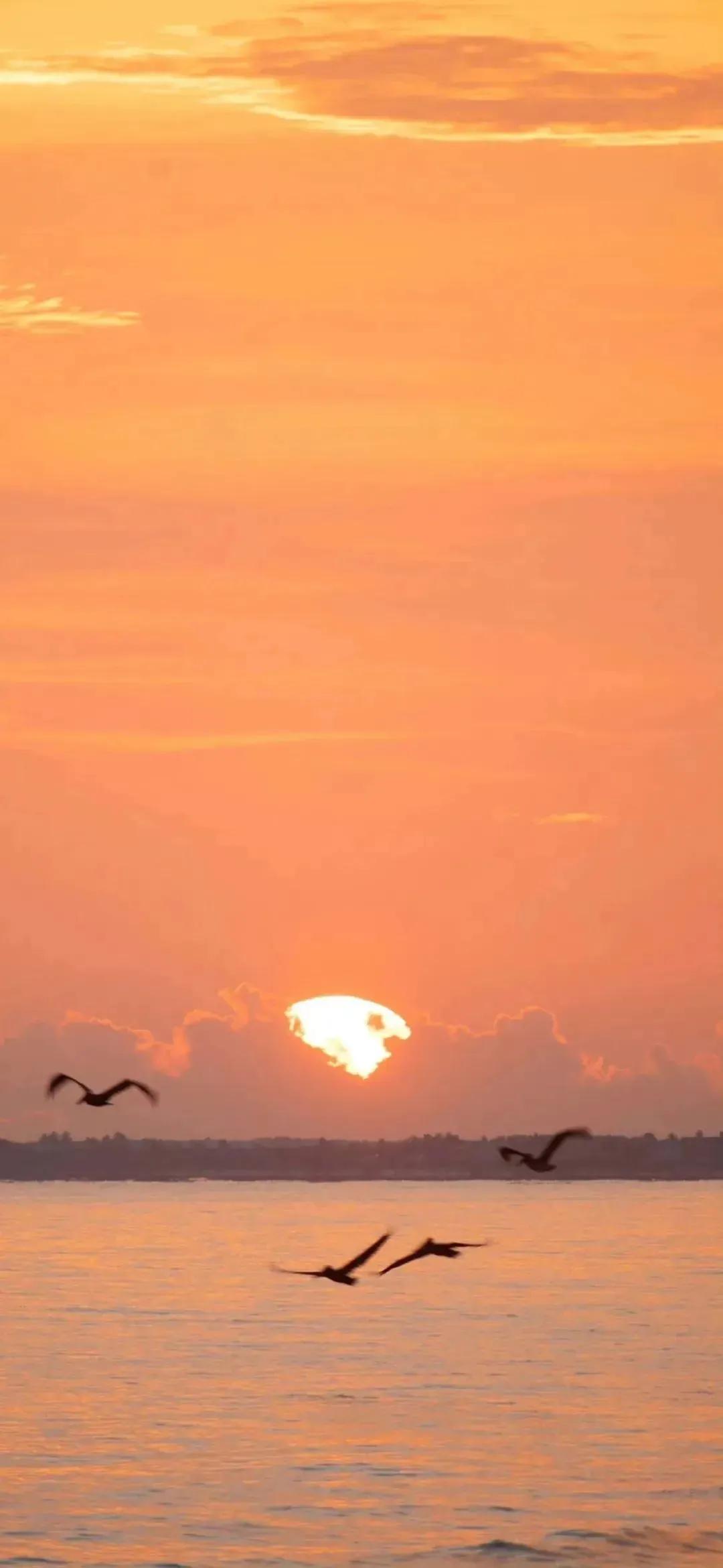 鏂板嚭鐐夋渶鎯婅壋椋庢櫙澹佺焊,椋庢櫙澹佺焊鎵嬫満瓒呮竻鍏ㄥ睆