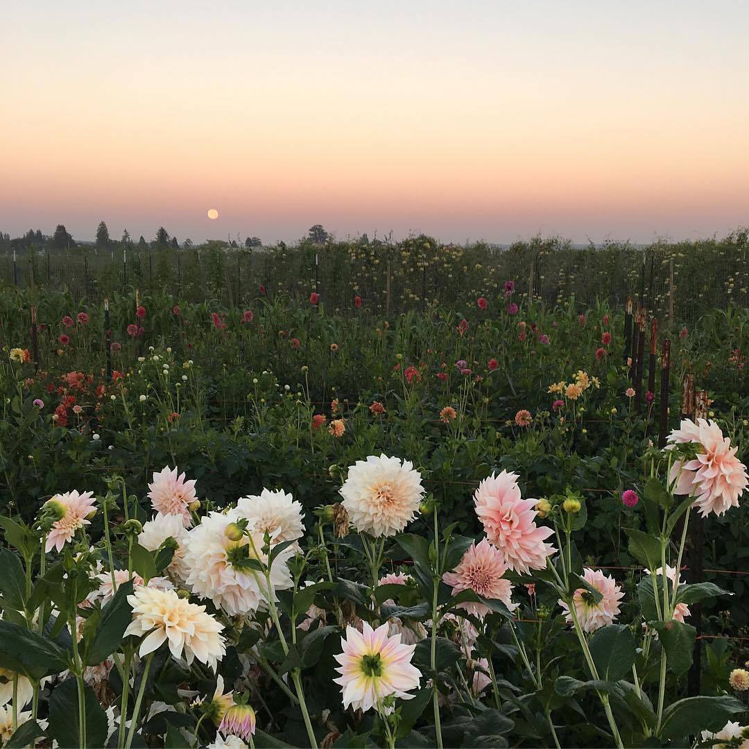 中国的问题实在太复杂了