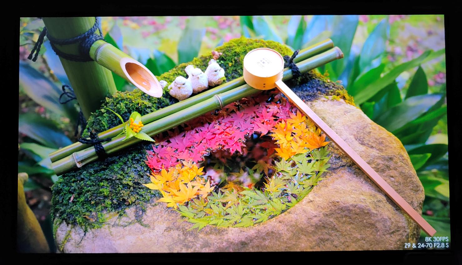 闅忔椂闅忓湴瑙傚奖,闅忔椂闅忓湴鐪嬬數褰辩殑鎰熷彈