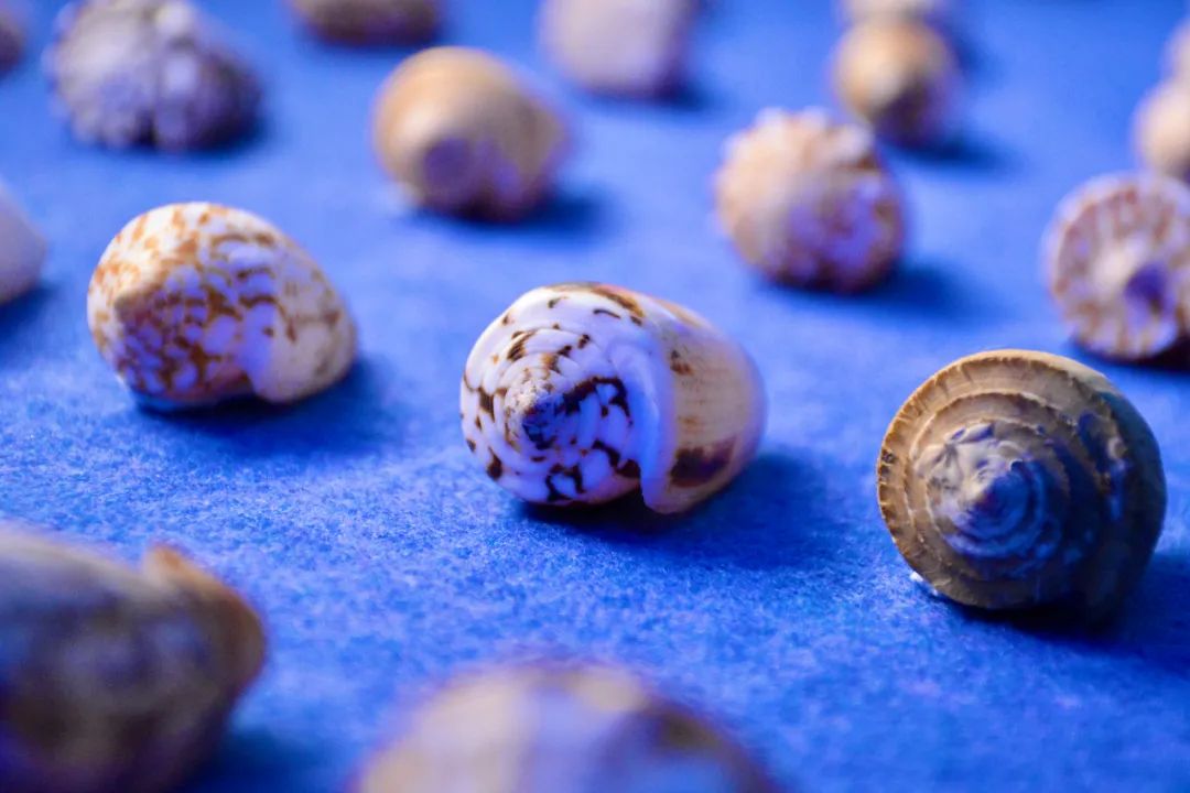 推门就是半个大唐！青岛这场大秀也太好看吧！