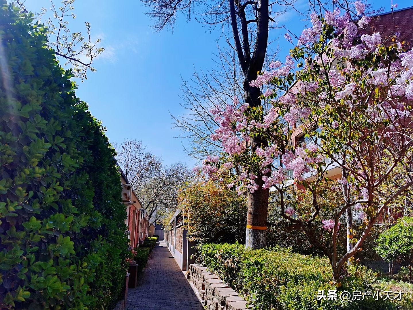 北京.望京十大富人小区