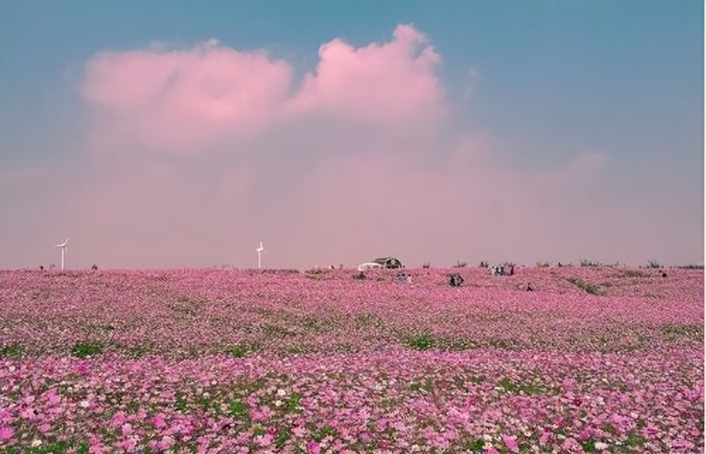 一双红色高跟鞋全集,微小说一双高跟鞋