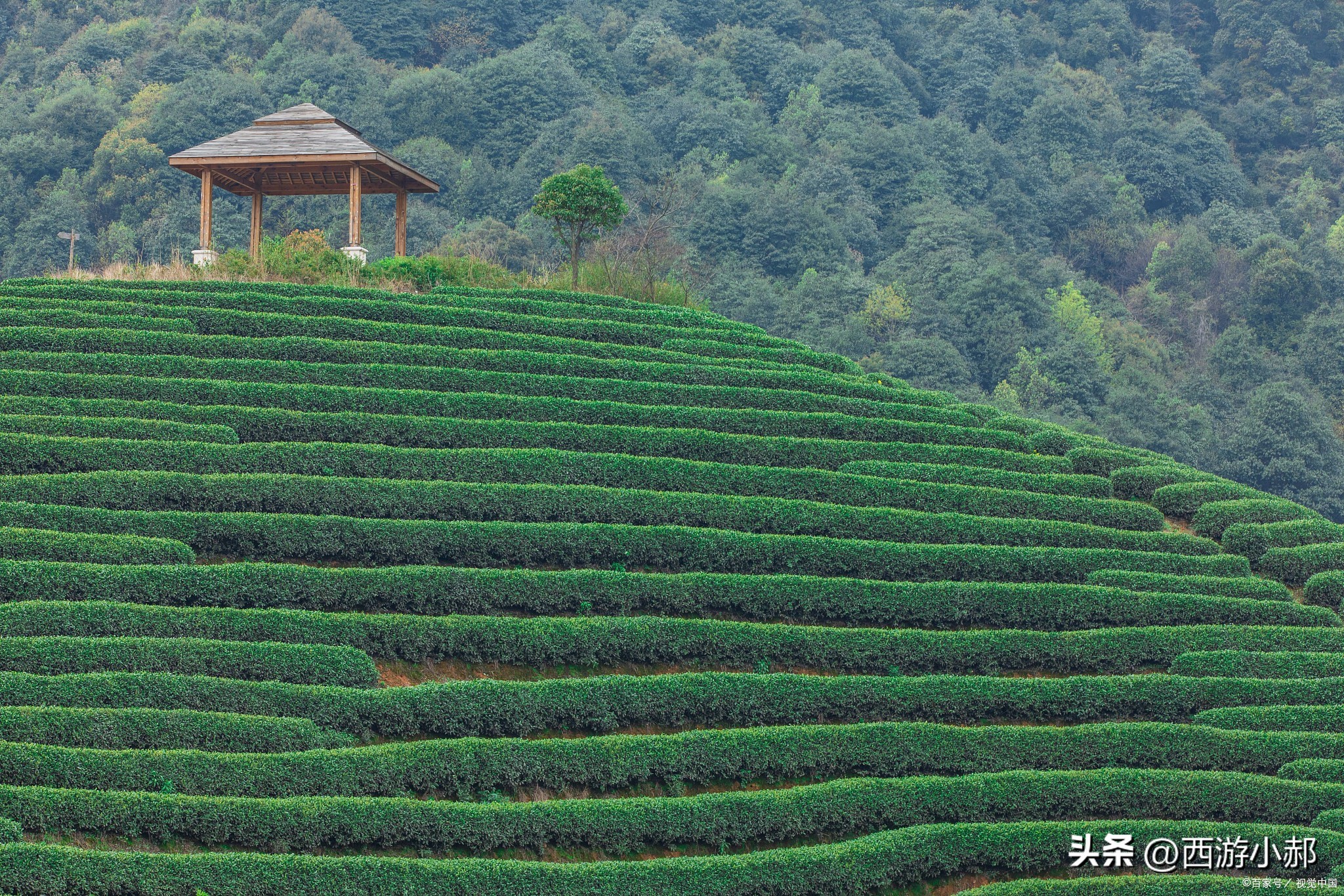 杭州旅游必去十大景点推荐一下,杭州旅游必去的十大旅游景点介绍