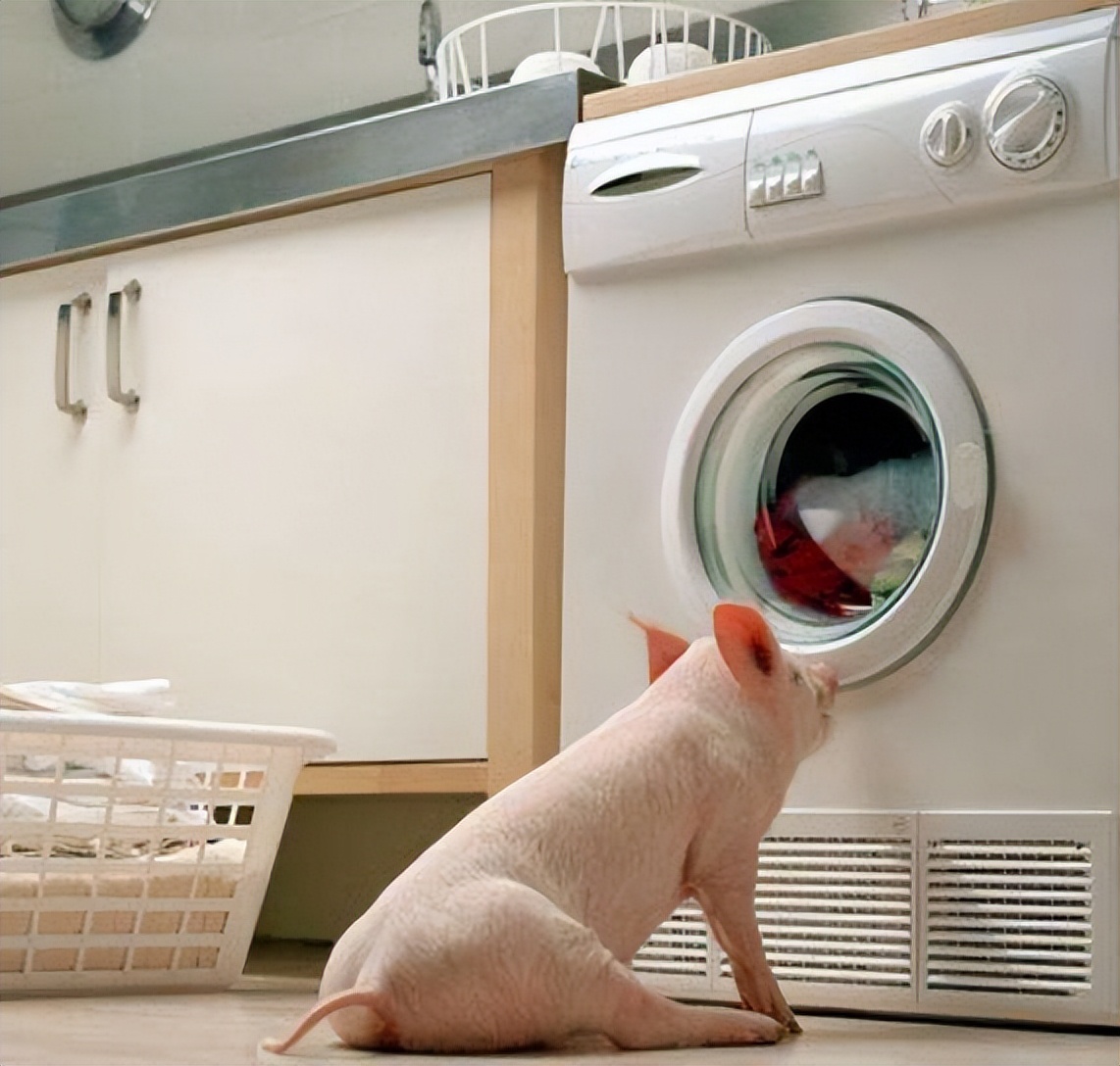 为什么不建议买滚筒洗衣机,为什么内行人不建议买洗衣机