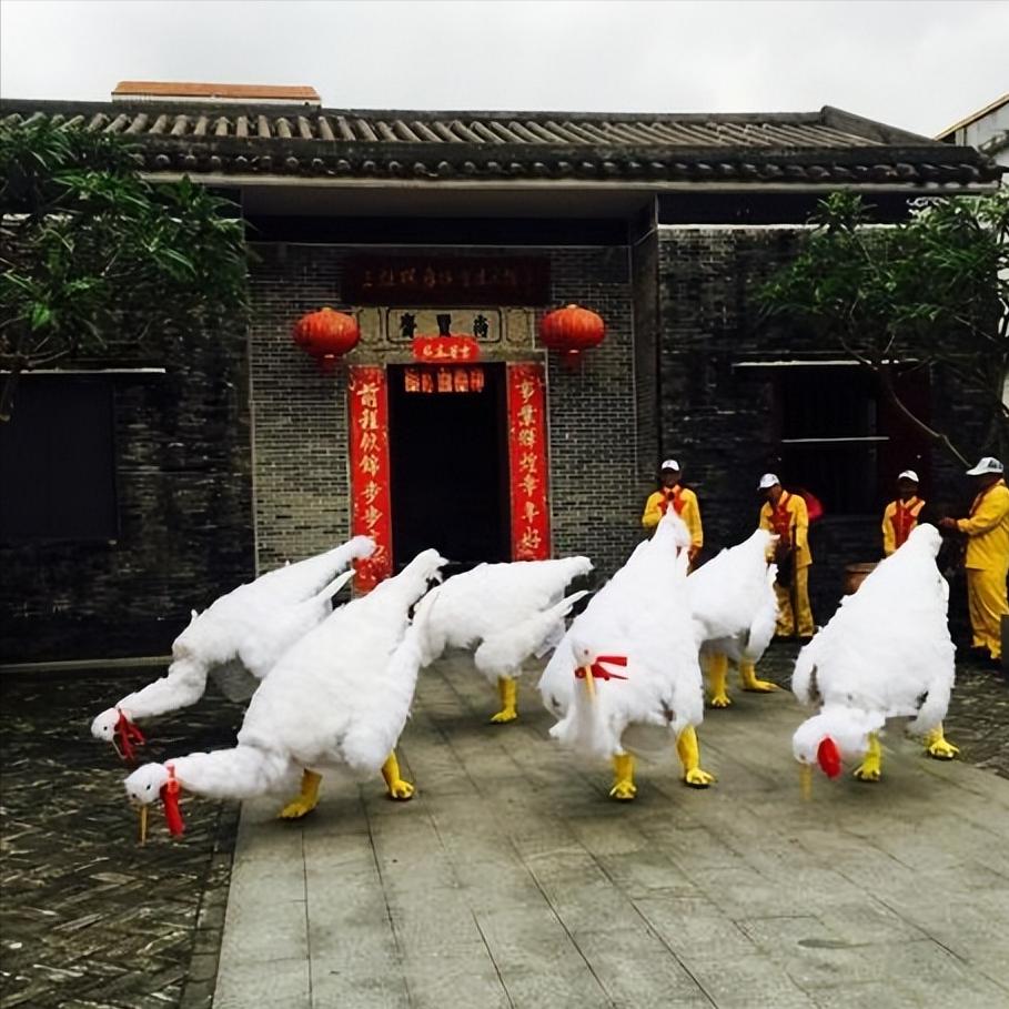 珠海非遗三灶鹤舞,三灶鹤舞是非物质文化遗产吗