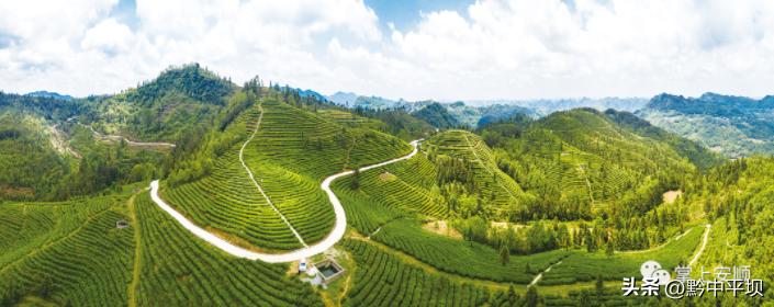 安顺市2020工作报告,安顺市构建新发展格局