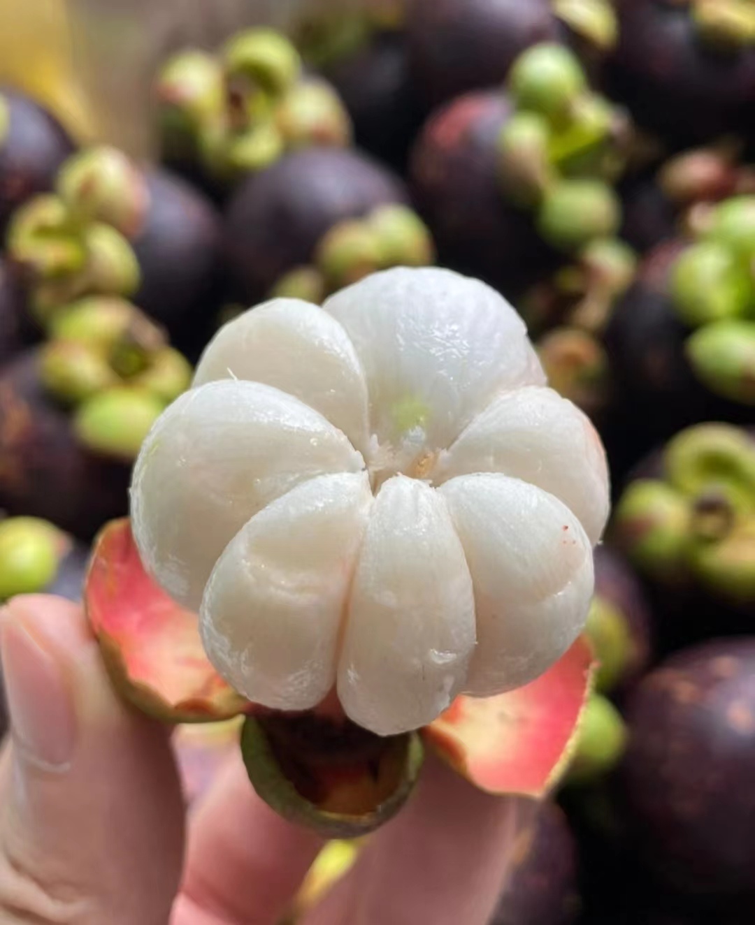 带你尝遍各种高端水果,中国最喜欢吃的高端水果