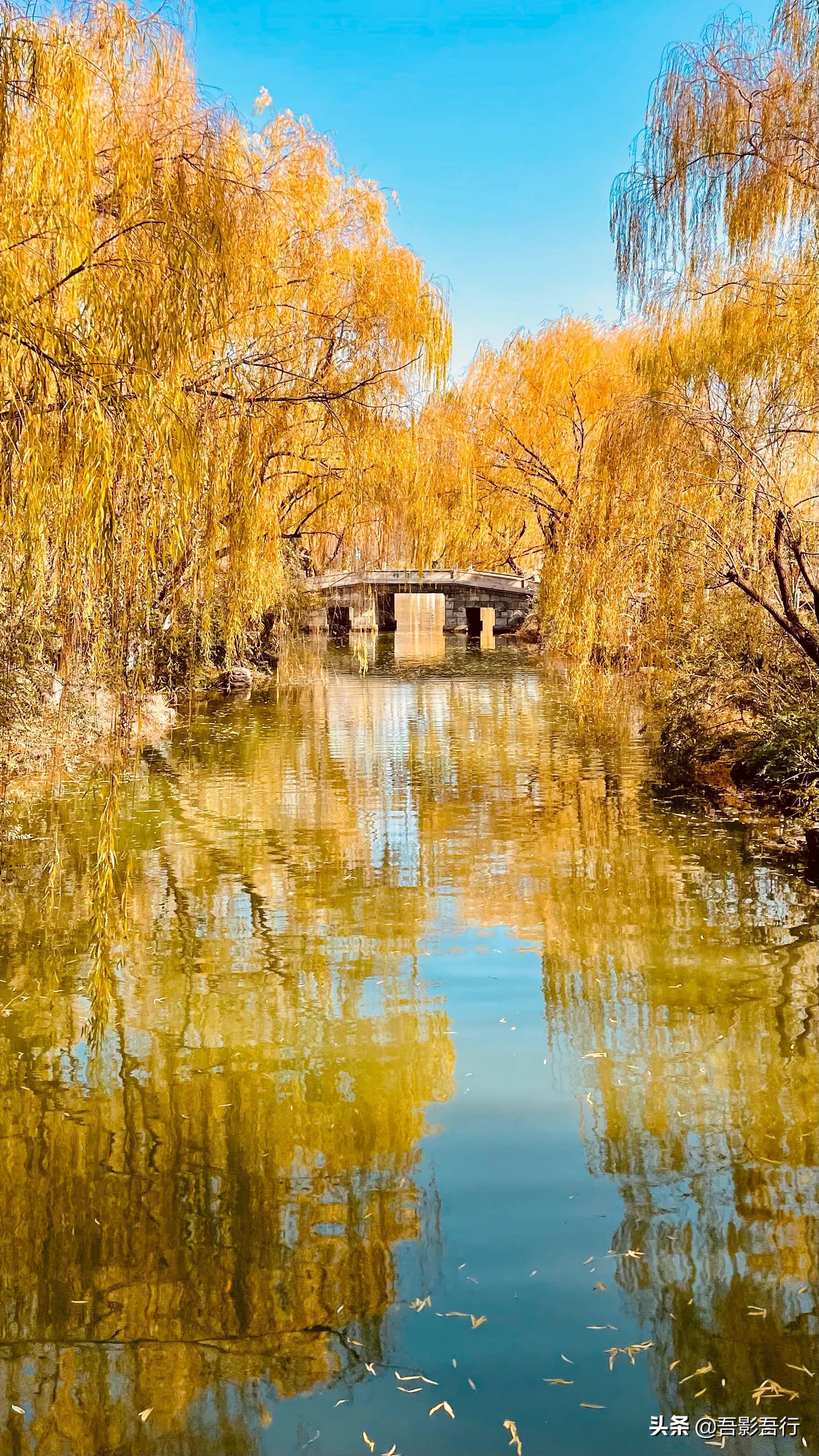 济南大明湖秋冬图片高清,初春大明湖美景图片