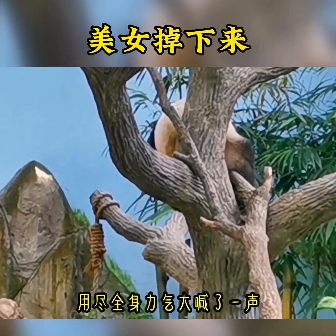 女主一觉醒来长出了猫耳朵和尾巴,美女掉下来摔在车顶后续