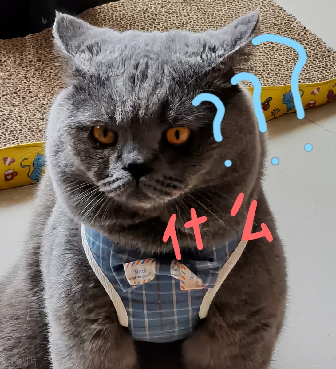 疫情英国留学学费减半,疫情后英国留学有什么影响