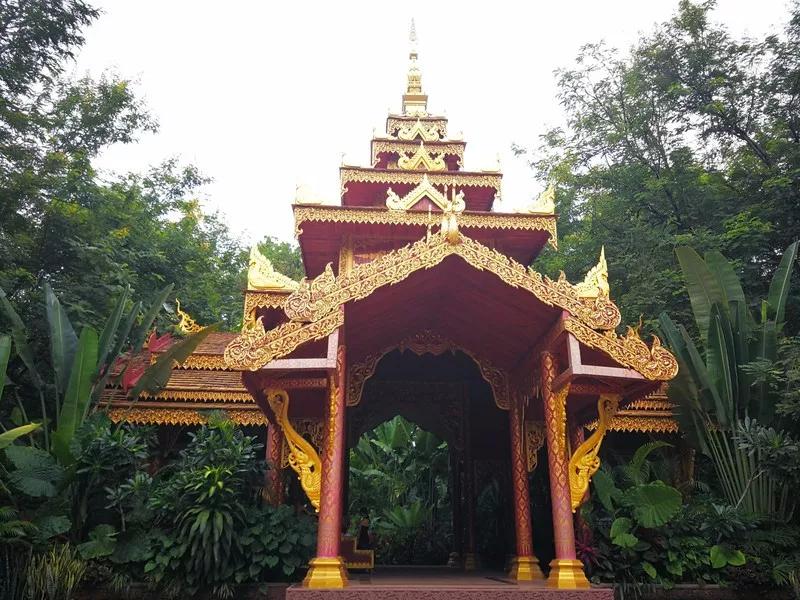 云南西双版纳旅游攻略app,云南西双版纳旅游攻略自由行12月