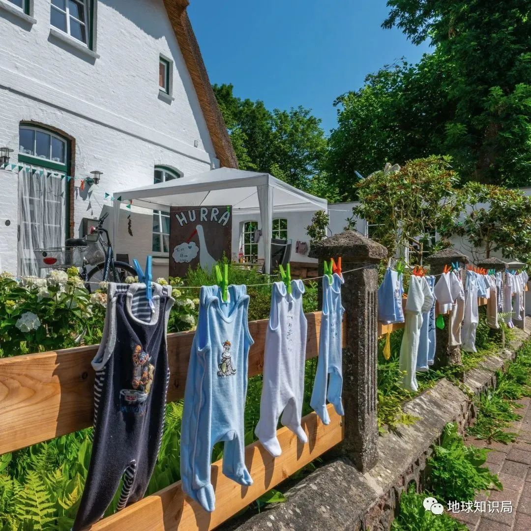 刚刚,人口突破80亿!中国人口即将负增长|地球知识局