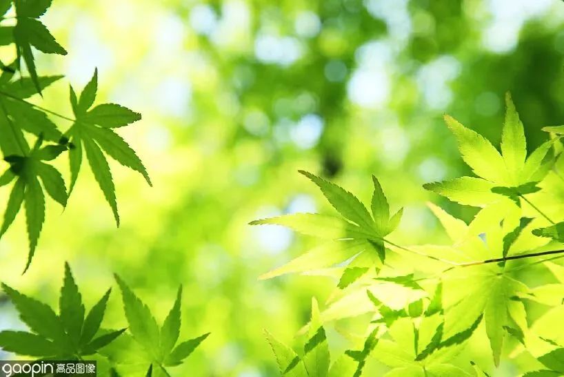 夏季清凉素材,夏日清凉的素材