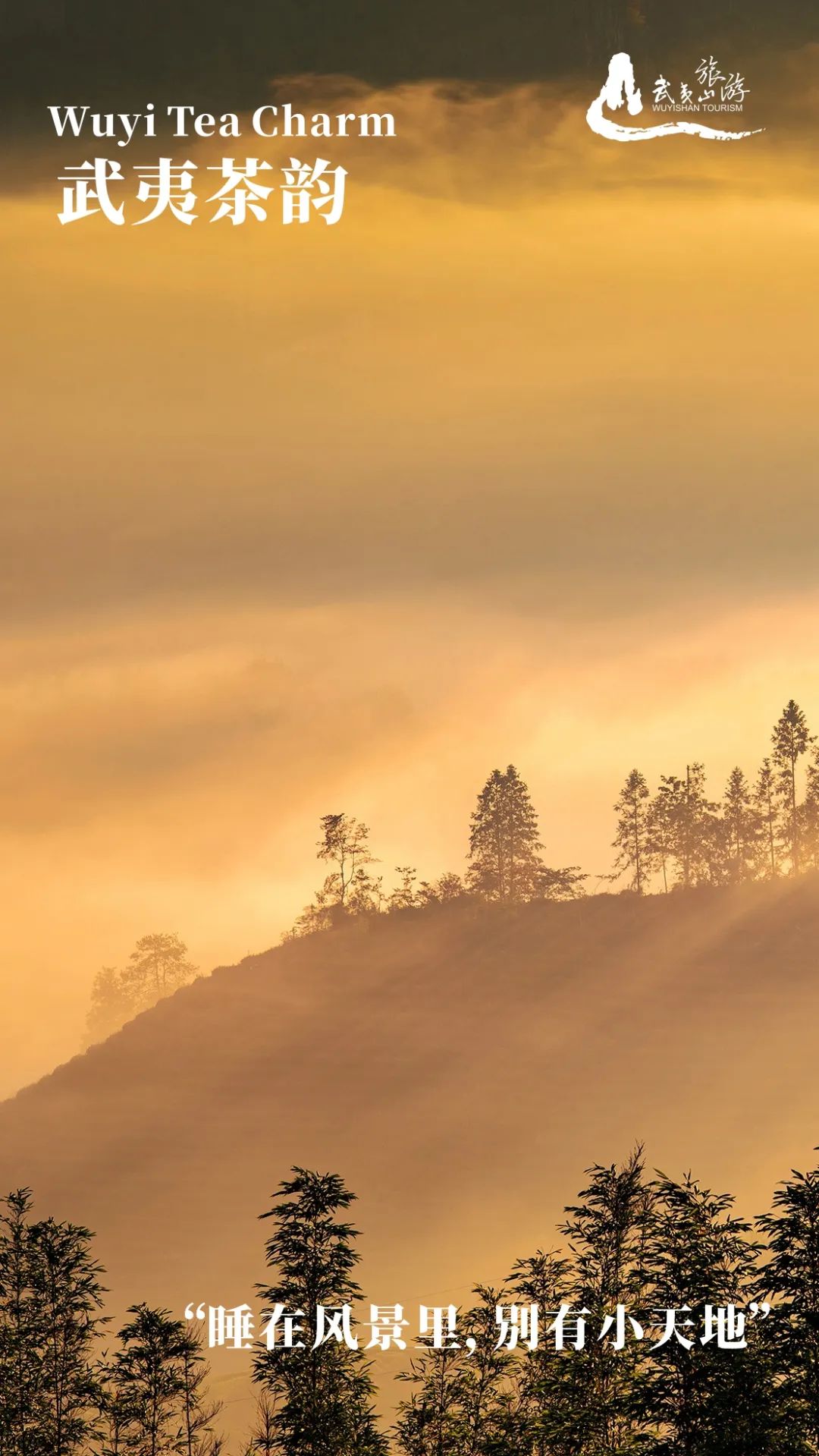 武夷山隐藏在大山里的世外桃源,武夷山景区和茶区