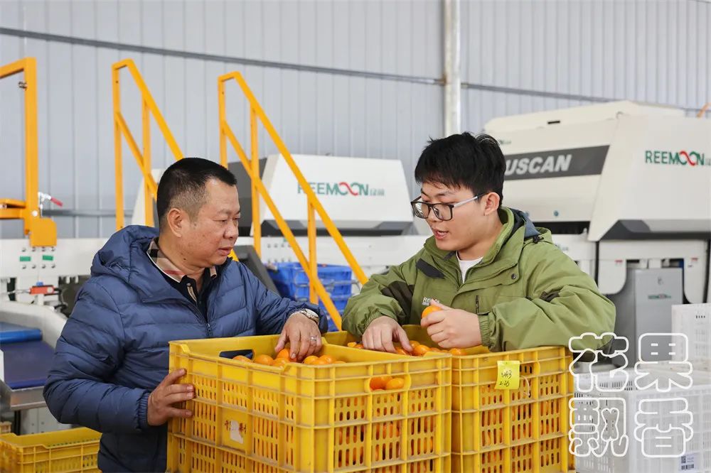 从0.6元到4元,优质优价能否引领农民种好果?