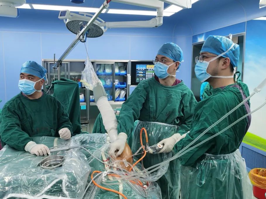 运动医学专家北京大学第三医院,运动医学团队