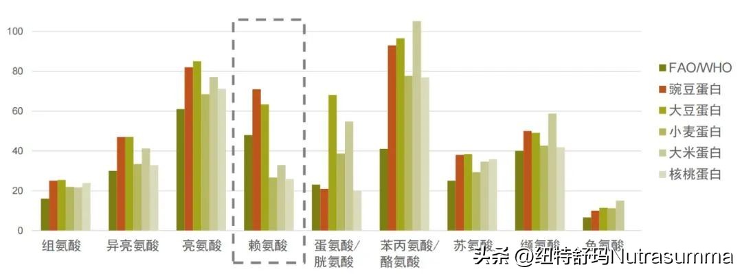 植物基蛋白,植物基蛋白的前景