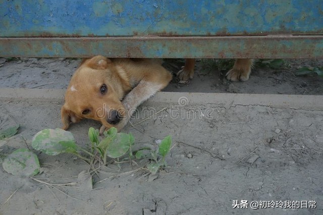 不要刻意的讨好别人换来的是卑微,不要去卑微的讨好要走的留不住