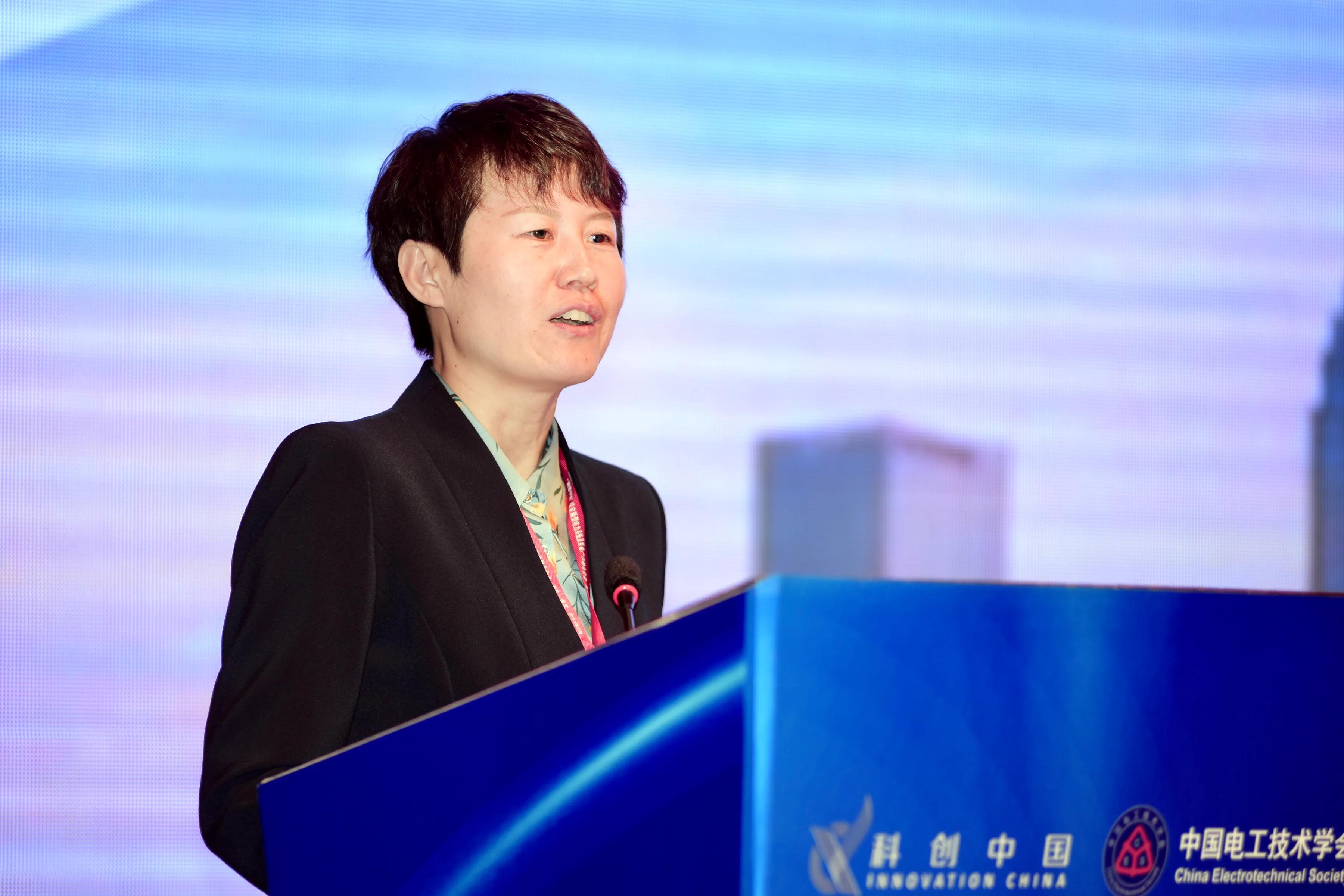 保定电力智能装备产业园项目,保定电力及新能源装备制造