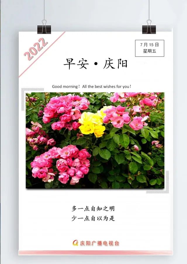 你好庆阳,庆阳新闻2020.3.15