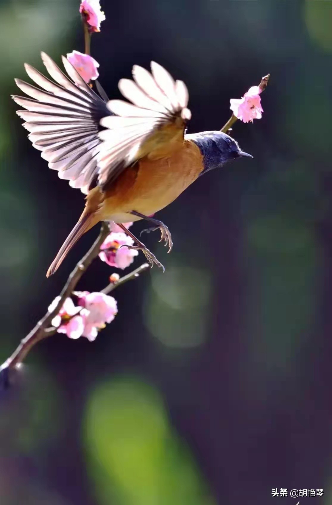 100个姓氏诗词,姓氏诗100句