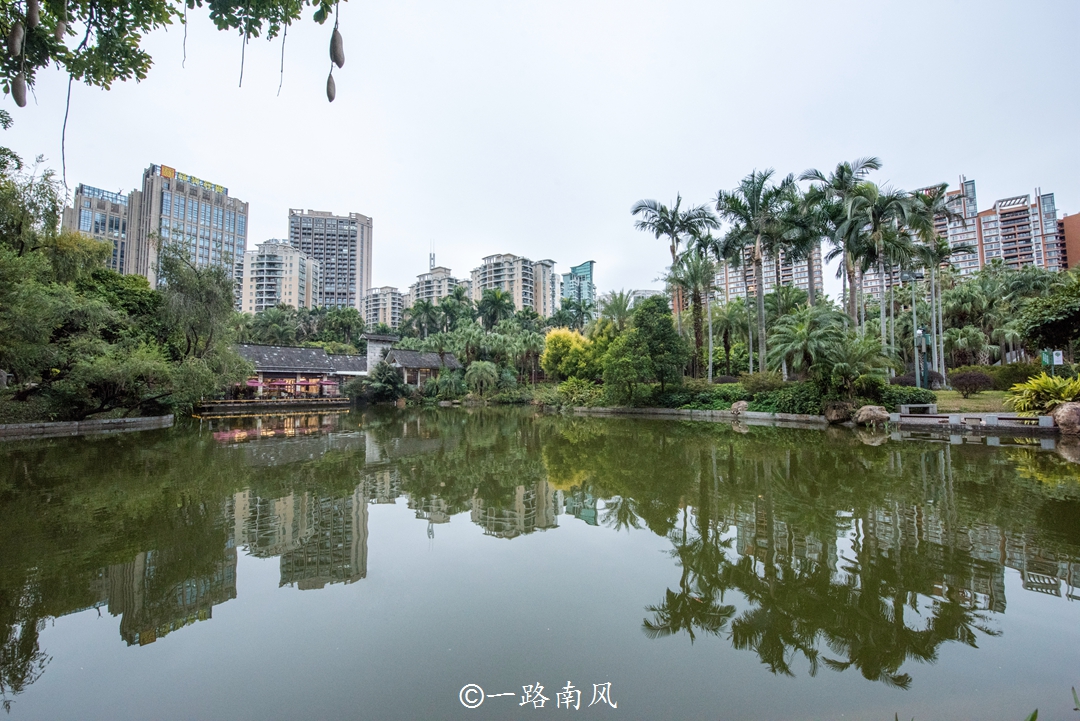 广州市gdp最高的区,广州市gdp在全国排第几