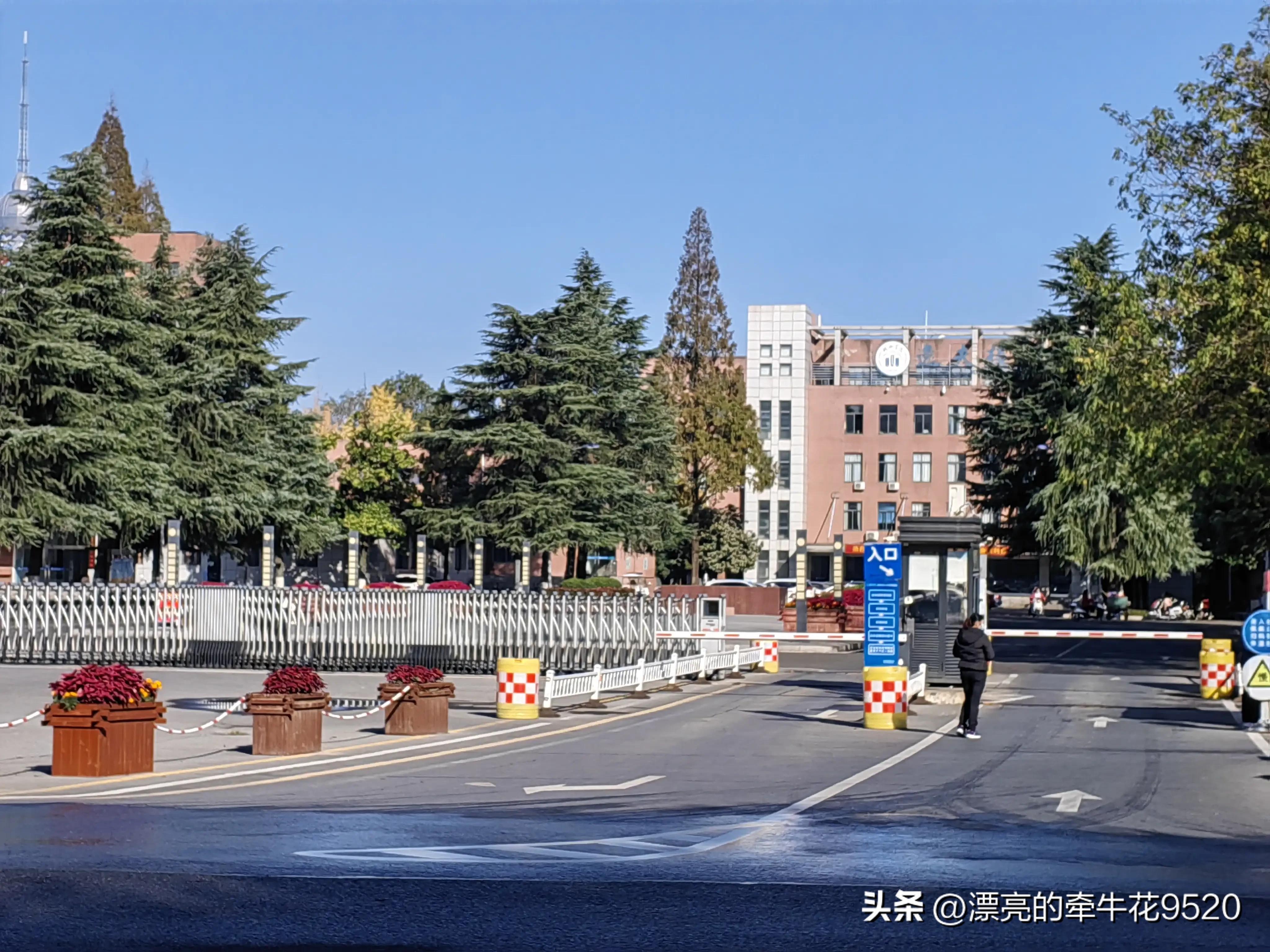 六安月亮岛的风景春夏秋冬,六安月亮岛夕阳美景