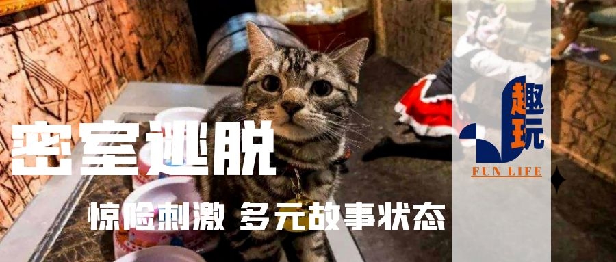 密室逃脱小技巧试玩版,密室逃脱新手应该怎么玩