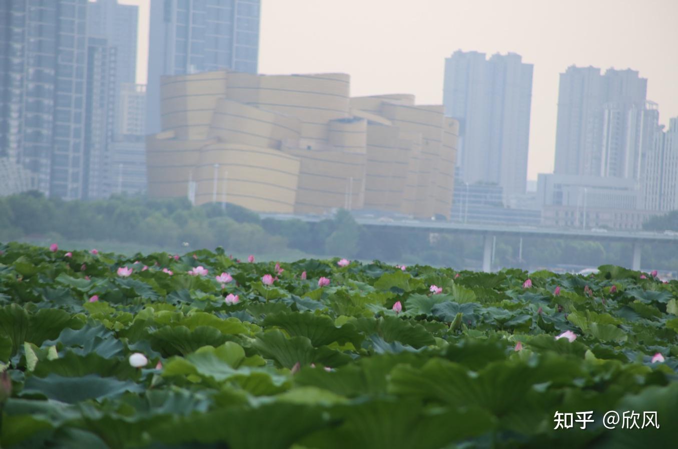 2-3天适合去哪里旅游湖北,湖北十堰旅游攻略三日游
