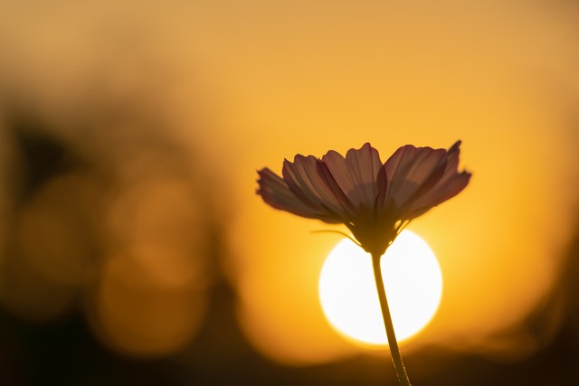 励志正能量句子摘抄大全,励志正能量句子经典短句