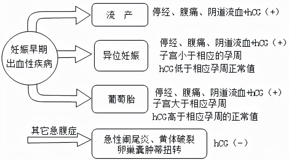 宫外孕孕妈会有危险吗,孕早期宫外孕会有什么症状和危害