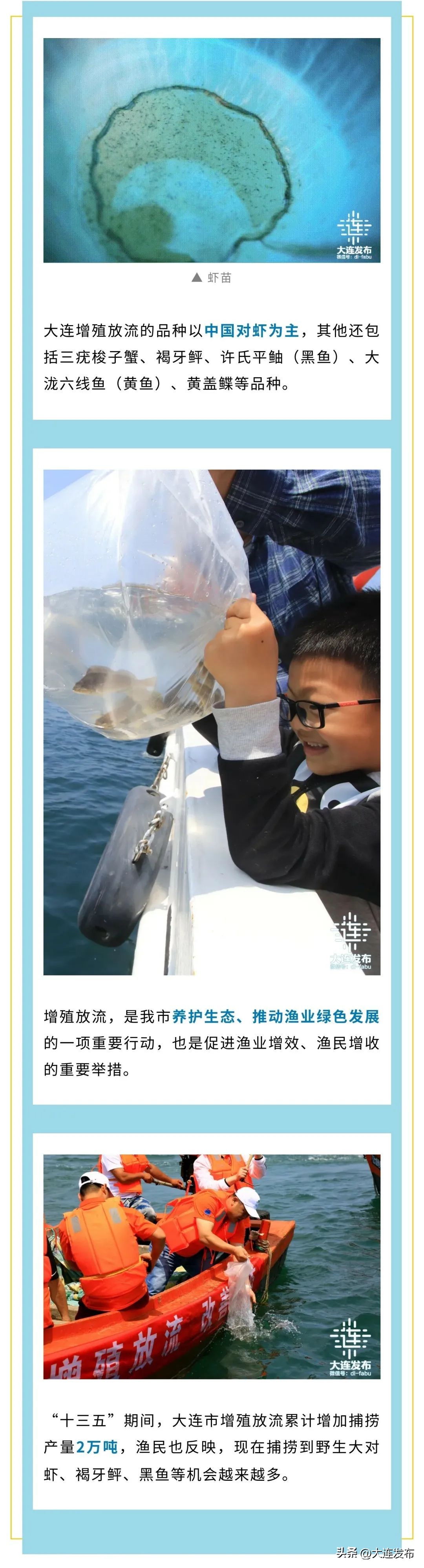 实现海鲜自由的秘诀,实现海鲜自由另一种说法