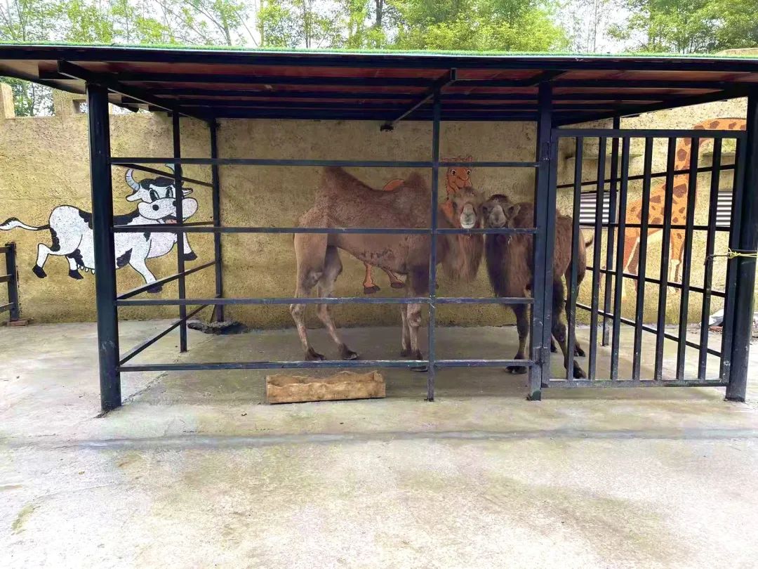 水灵妹旅行攻略,水灵妹旅游景点