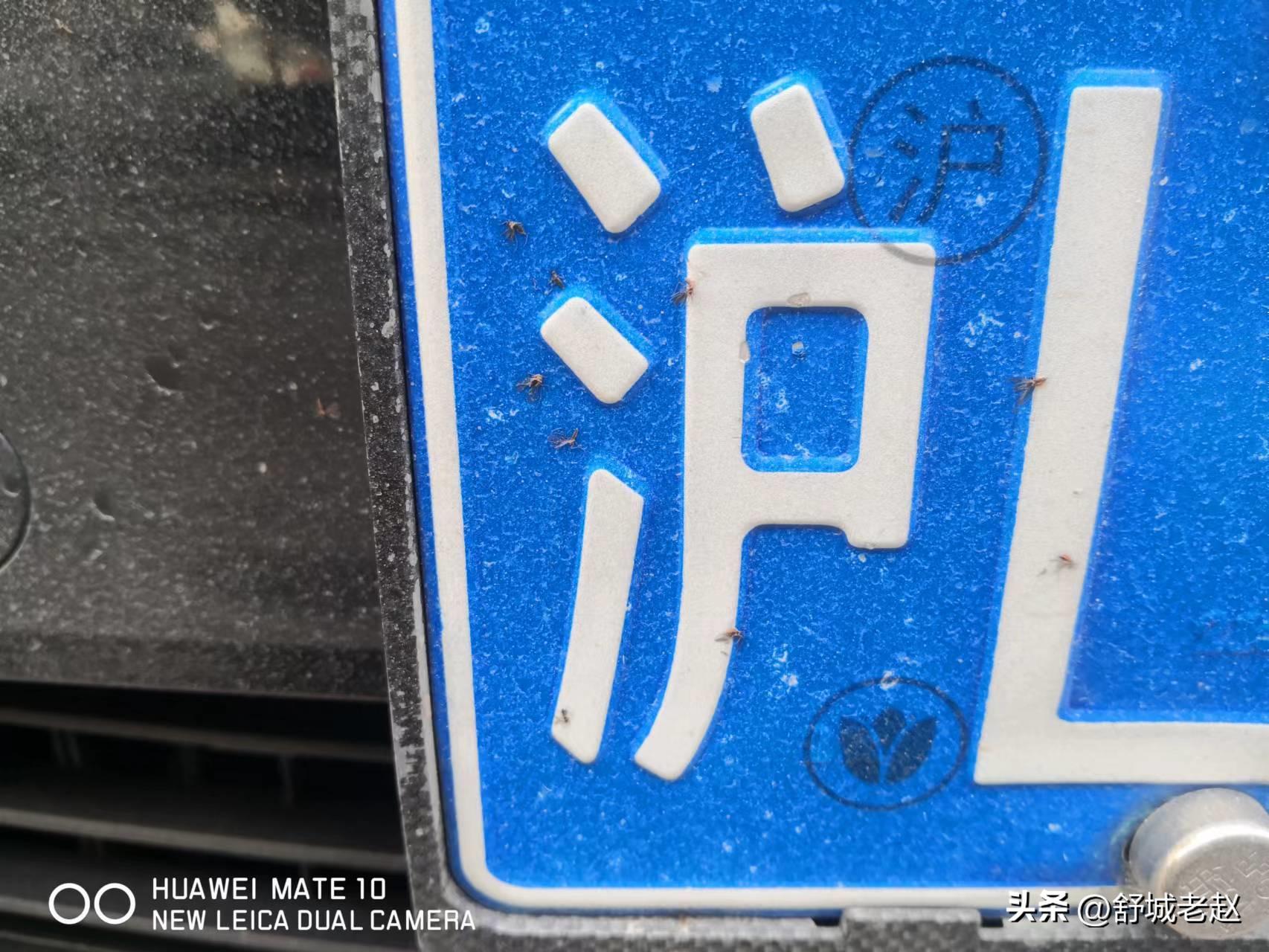 千车千号一牌一方——谈谈车辆号牌