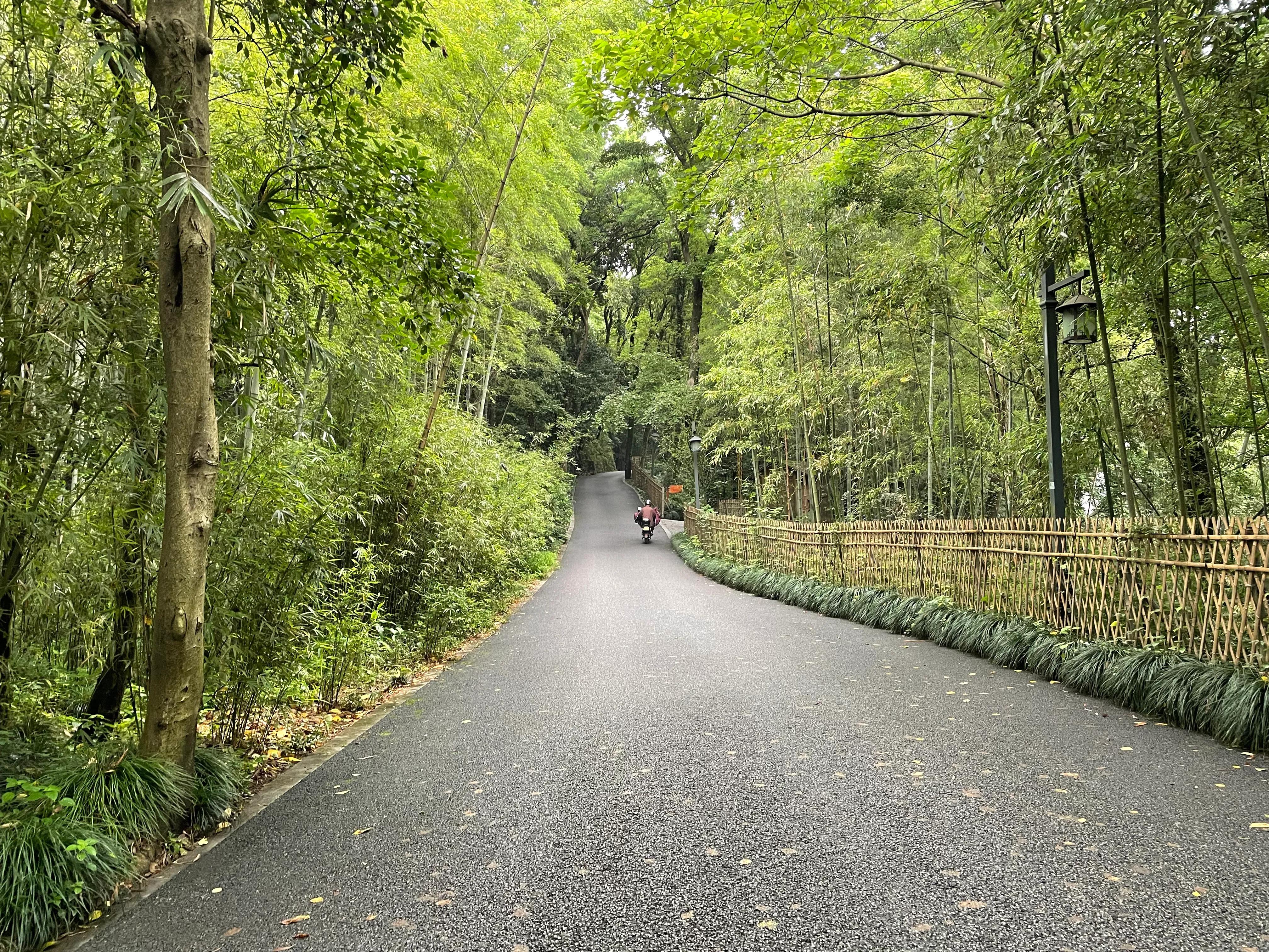 永福寺简介,永福寺诗词