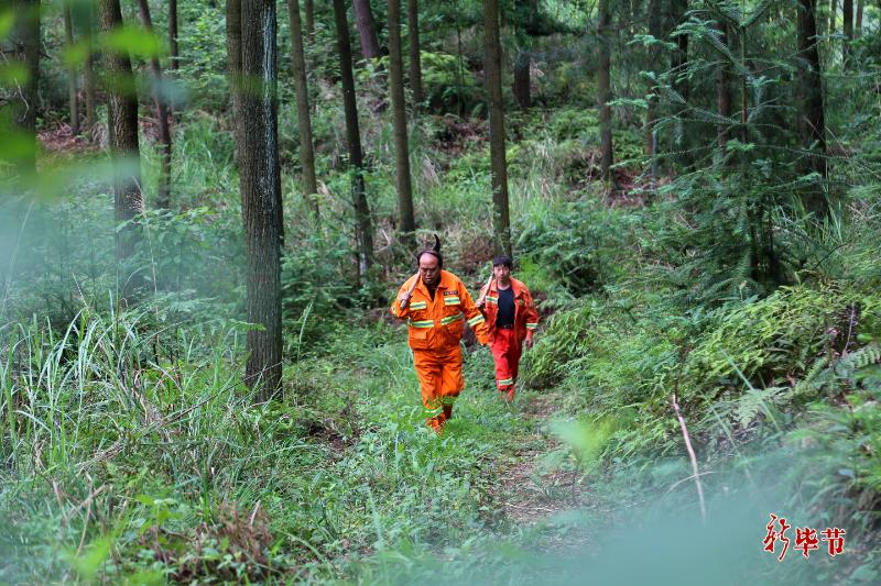 毕节：植此新绿不负青山