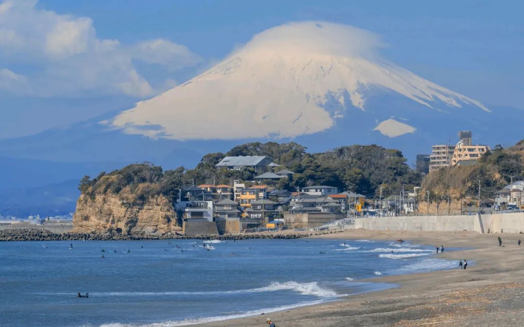 内向的人赴日留学最好学什么专业,日本留学十大热门专业