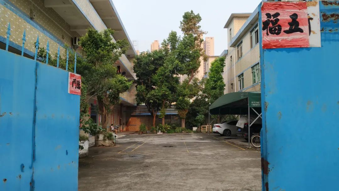 我是旅居三亚的姑娘，最终仓惶逃回深圳了