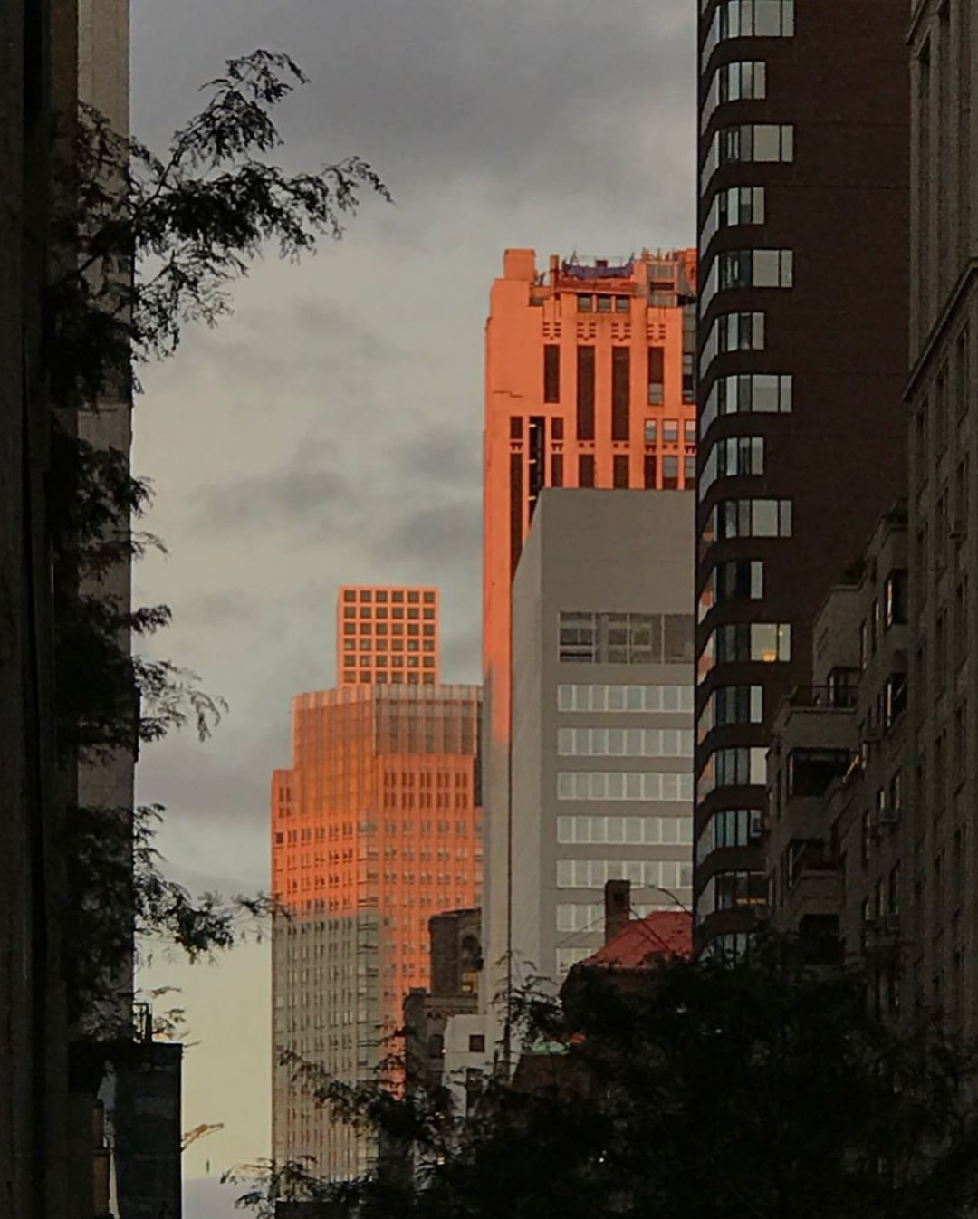 带娃看艺术——韩国艺术家SeulaYi世界中的渺小和庞大